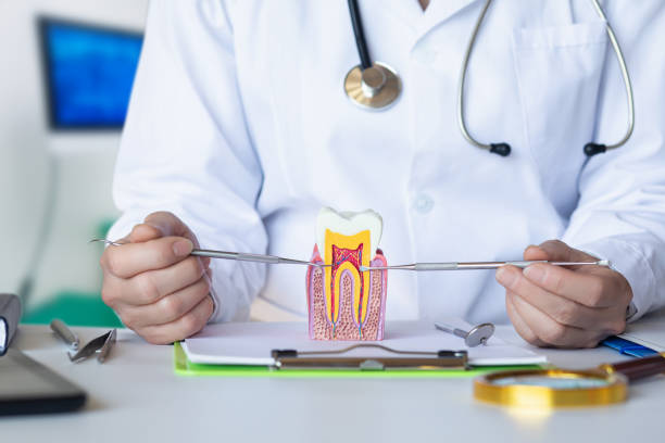 Best Emergency Dental Care for Abscessed Tooth in Wellston, MO